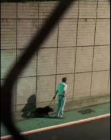 文山區社區住戶養狗門沒關衝出傷人 北市動保處將依動物保護法開罰