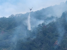 埔里森林大火強風復燃 延燒40公頃林地