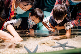 海生館迷你解說員親子營共學體驗 深化海洋生態保育