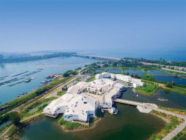 春節台江走春去！觀賞黑面琵鷺群舞、打卡最西端守望哨夕陽美景