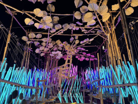 空山祭倒數！228連假把握最後上山機會