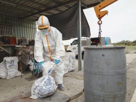 南市蛋雞場確診禽流感 動保處：即時處置積極防堵疫情
