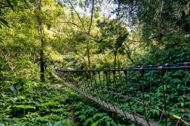 馬道迎新春、健行迎好運　竹縣精選3條「馬」字步道邀民眾享受芬多精