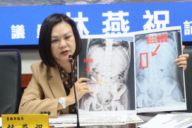 臺南霸凌再現！林燕祝：市府橫向聯繫失靈 形同縱容幫兇