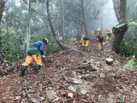 埔里林火終獲控制 起火原因調查中