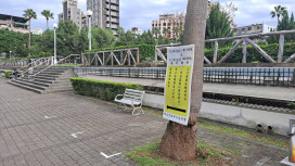 新北市交通局增設部分路段臨停區　提升國道客運返鄉、採買年貨便利性　