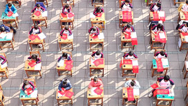 好運「馬」上來！新北推馬年創客小物　春聯、燈籠在家動手做！