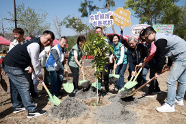 迎臺灣爺蟬回家 中央地方齊種臺灣梭羅木