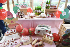 善化草莓季3/7甜蜜登場 全民體驗春日限定好滋味