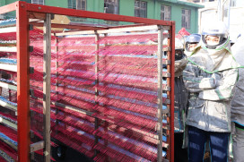 鹽水蜂炮登場！歡迎體驗鹽水小鎮「犁炮」慶元宵