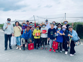 臺南榮家樂智長輩採果喚記憶 美濃番茄滿園香