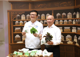 新北教育「終身學習商鋪」讓學習走進城市與生活　300堂免費課程正式登場