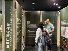 南市圖推「走進雲霧森林 — 探索山椒魚特展」 深化生態教育