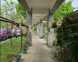 庭園蘭香環境優化 白河榮家獲贈蘭花共創優質空間 