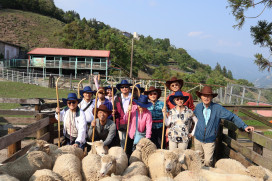 穿越半世紀重聚  台大學霸清境牧羊憶青春