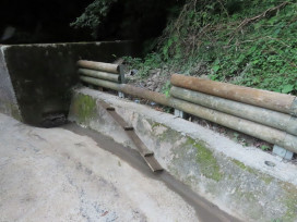 雲霧森林裡的生態巧思！　拉拉山林道治理打造客製化動物V.I.P.通道