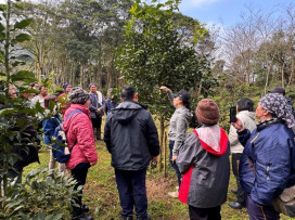 臺灣極危特有種南庄橙復育有成　三方聯名果醬勇奪世界大賽5金8銀殊榮