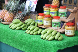 臺南鳳梨好筍季登場 鮮甜鳳梨脆嫩竹筍一次滿足