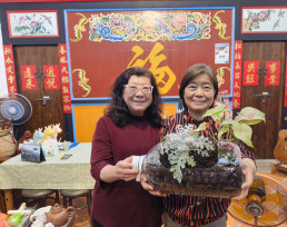 金門湖峰古厝民宿跨百年綠意對話  葉珮渟首場植物療癒沙龍