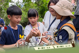 「小昆蟲大發現」親子環境教育　來趣東眼山探尋昆蟲的奧秘