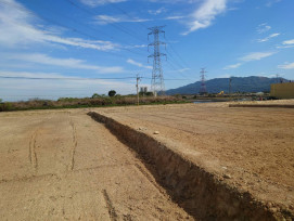 農地整地應依法申請並維護土壤品質　籲請避免違規回填影響農業生產環境