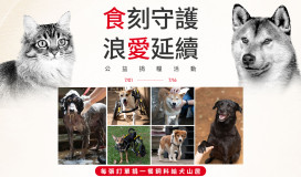 食刻守護，浪愛延續：法國皇家攜手momo購物網守護浪浪