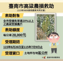 南市高粱0608豪雨災損！自6/26-7/9受理現金救助申請