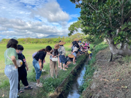 畢旅來這！屏東海生館推4人同行1人免費 世界海洋日限定夜宿優惠