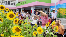 向日葵開滿花蓮榮家 幼園與長輩攜手共賞金黃花海  