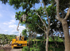 台電因應巴威強颱！台南區處全力戒備啟動搶修確保供電穩定
