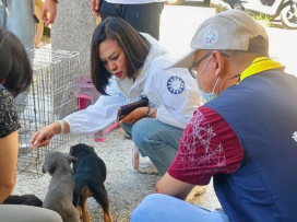 安南外勞宿舍後院驚傳虐犬？5幼犬後腿全斷疑待宰殺