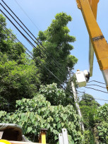 紅霞颱發布海警  新營台電全力戒備 籲畜牧養殖業落實用電設備檢查