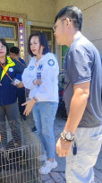 台南市安南區5幼犬後腿重傷引關注 林燕祝籲以科學釐清真相