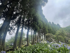 走過半世紀山林歲月-雪霸休閒農場 50 週年正式啟程！