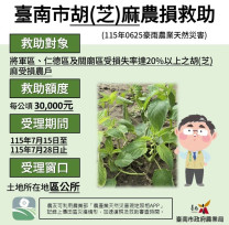 0625豪雨造成胡(芝)麻災損 7/15-7/28現金救助申請