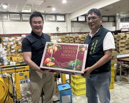 海外市場再傳拓銷捷報！臺南愛文芒果登日好市多及英國通路
