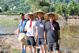 全台首創波力POLI主題大地彩繪畫布　關西彩繪稻田「出動稻關西」盛大啟動