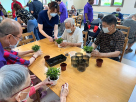 彰化榮家長輩DIY羅漢松植栽 療癒身心樂享園藝時光