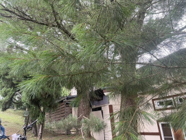 從法律防線看遺產處分：對不孝子女的三重懲罰強度