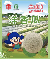 後壁稻米遇上洋香瓜！「洋香瓜米乖乖」聯名上市　國產米變身國民零食