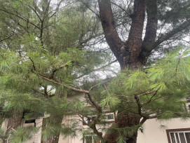 房地合一稅別讓「租稅正義」變成「制度勒索」！