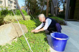 勞動部「施用毒品者就業服務計畫」助攻　桃竹苗分署協助高齡藥癮更生人穩定就業