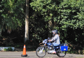 熱愛山林、關心自然　林保署新竹分署招募森林護管員10/14報名截止