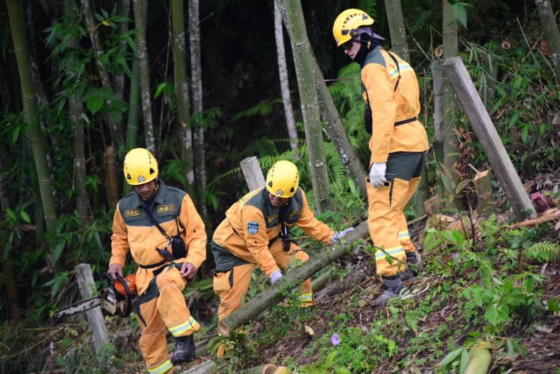 森林火災陸空聯合演習 中央地方全面動員