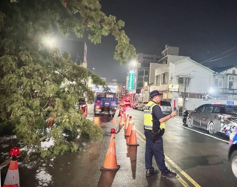 路樹不堪豪雨傾倒　北港警雨中交管助排除