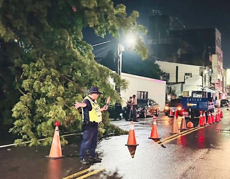 路樹不堪豪雨傾倒　北港警雨中交管助排除