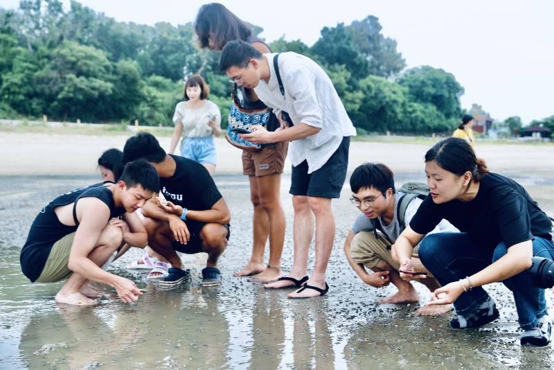 金門海島移居實驗室 換宿青年塑造海洋文化多元風貌