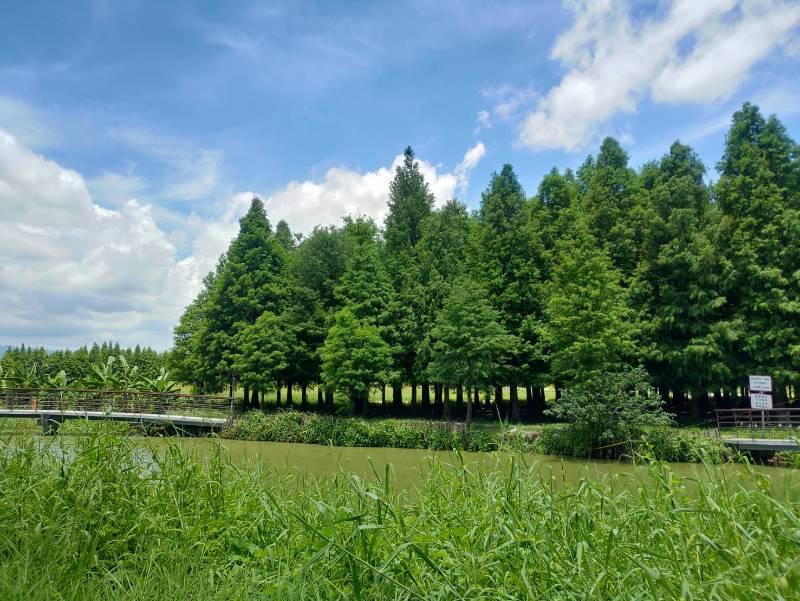 學甲濕地等地旅遊尚好玩 炎夏叨位去！