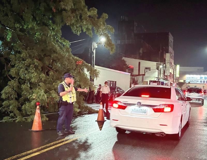 路樹不堪豪雨傾倒　北港警雨中交管助排除