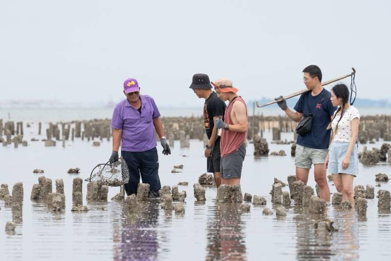 金門海島移居實驗室 換宿青年塑造海洋文化多元風貌